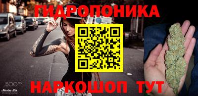 сатива Будённовск