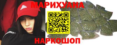 сатива Будённовск